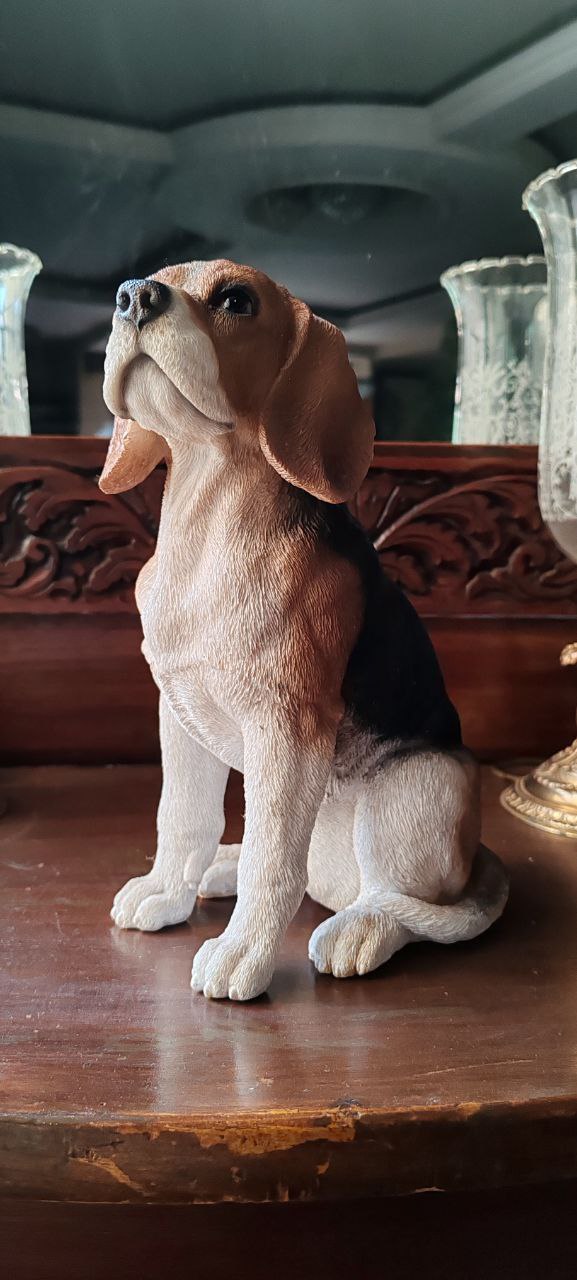 Realistic Beagle Dog Statue – GiftPoint Resin Figurine – 28x20 cm