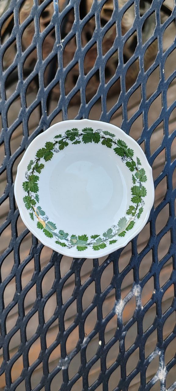Vintage Meissen Porcelain Plate with Green Leaf Garland – Crossed Swords Mark – 8cm